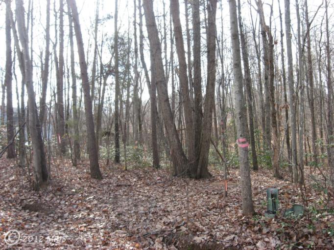 12914 INFANTRY DR, Spotsylvania, Virginia Homes & Land - Real Estate